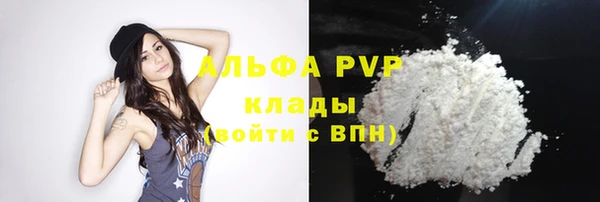 Альфа ПВП Аркадак