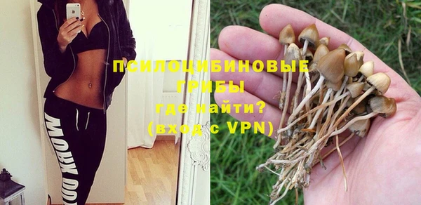 Альфа ПВП Аркадак