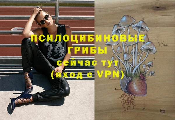 Альфа ПВП Армянск