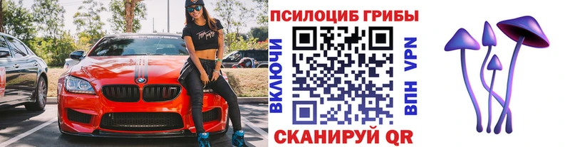 Псилоцибиновые грибы прущие грибы  ОМГ ОМГ онион  Могоча 